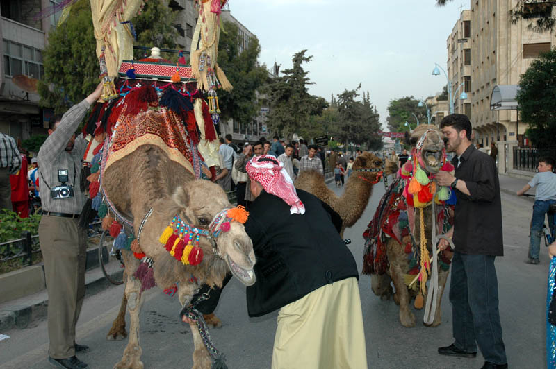 The Camel Whisperer